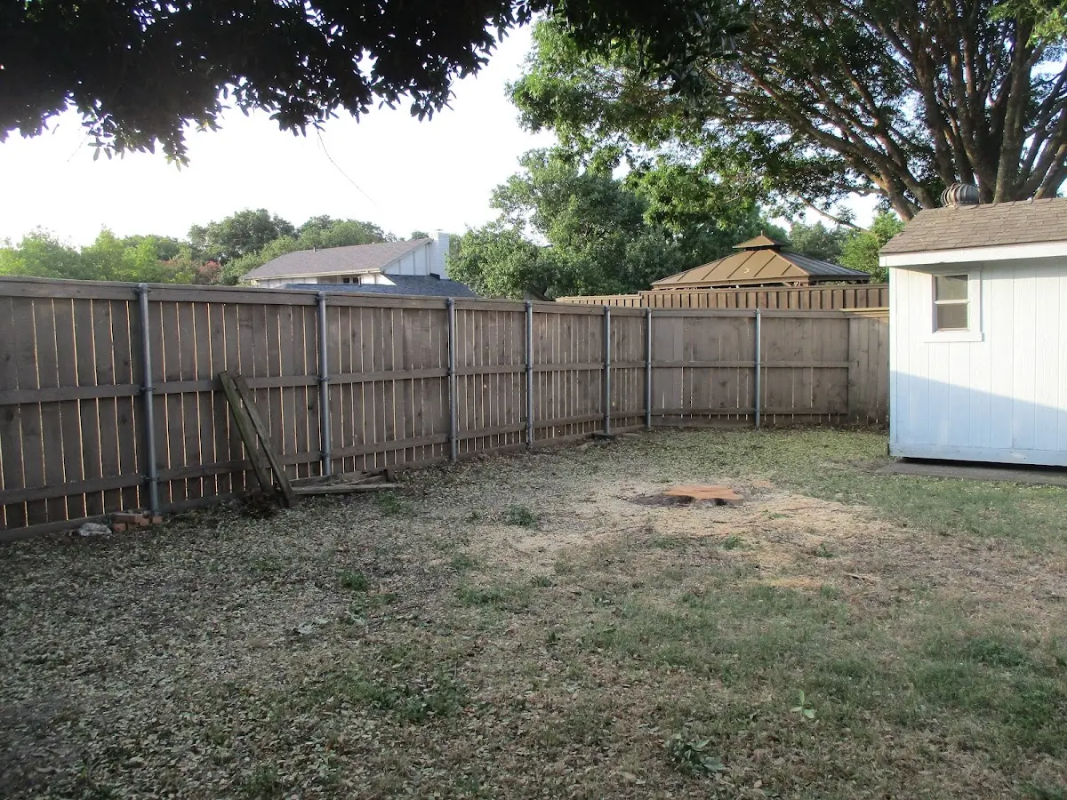Cleared yard after professional tree removal in Pawnee City