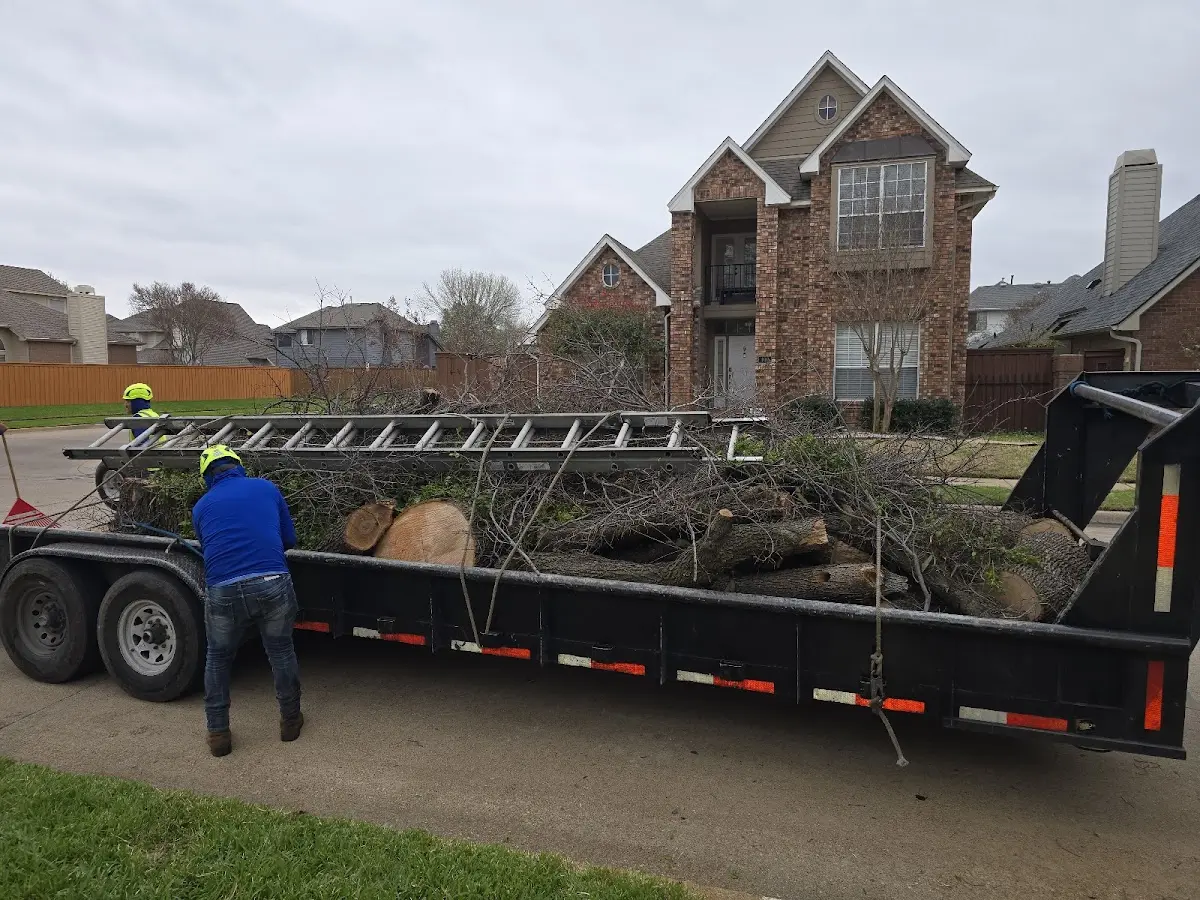 Expert Tree Removal with proper safety equipment in Pawnee City